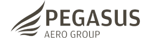 Pegasus Aero Group